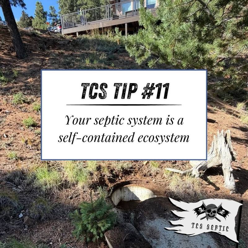 TCS tip #11: Your septic system is a self-contained ecosystem.
